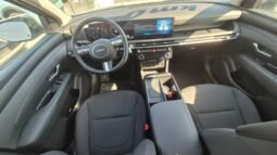 
										Hyundai TUCSON CRDI MILD HYBRID DCT BUSINESS 2026 completo									
