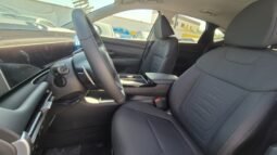 
										Hyundai TUCSON CRDI MILD HYBRID DCT BUSINESS 2026 completo									