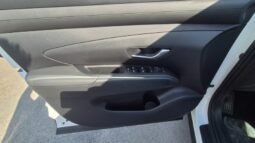 
										Hyundai TUCSON CRDI MILD HYBRID DCT BUSINESS 2026 completo									