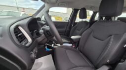 
										Jeep RENEGADE TURBO MHEV SUMMIT 2025 completo									