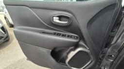 
										Jeep RENEGADE TURBO MHEV SUMMIT 2025 completo									