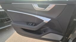 
										Audi RS6 AVANT TFSI V8 QUATTRO TIPTRONIC PERFORMANCE 2024 completo									