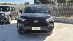 
										Toyota RAV 4 HV E-CVT 2WD BLACK EDITION 2021 completo									