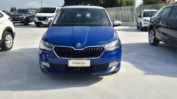 
										Skoda FABIA 2019 completo									