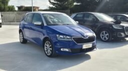 
										Skoda FABIA 2019 completo									