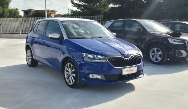 
								Skoda FABIA 2019 completo									