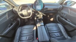 
										Citroen C5 X EAT8 SHINE 2023 completo									