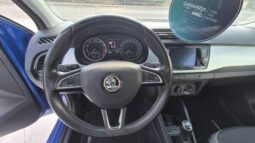 
										Skoda FABIA 2019 completo									