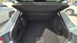 
										Renault ARKANA FULL HYBRID E-TECH TECHNO 2022 completo									